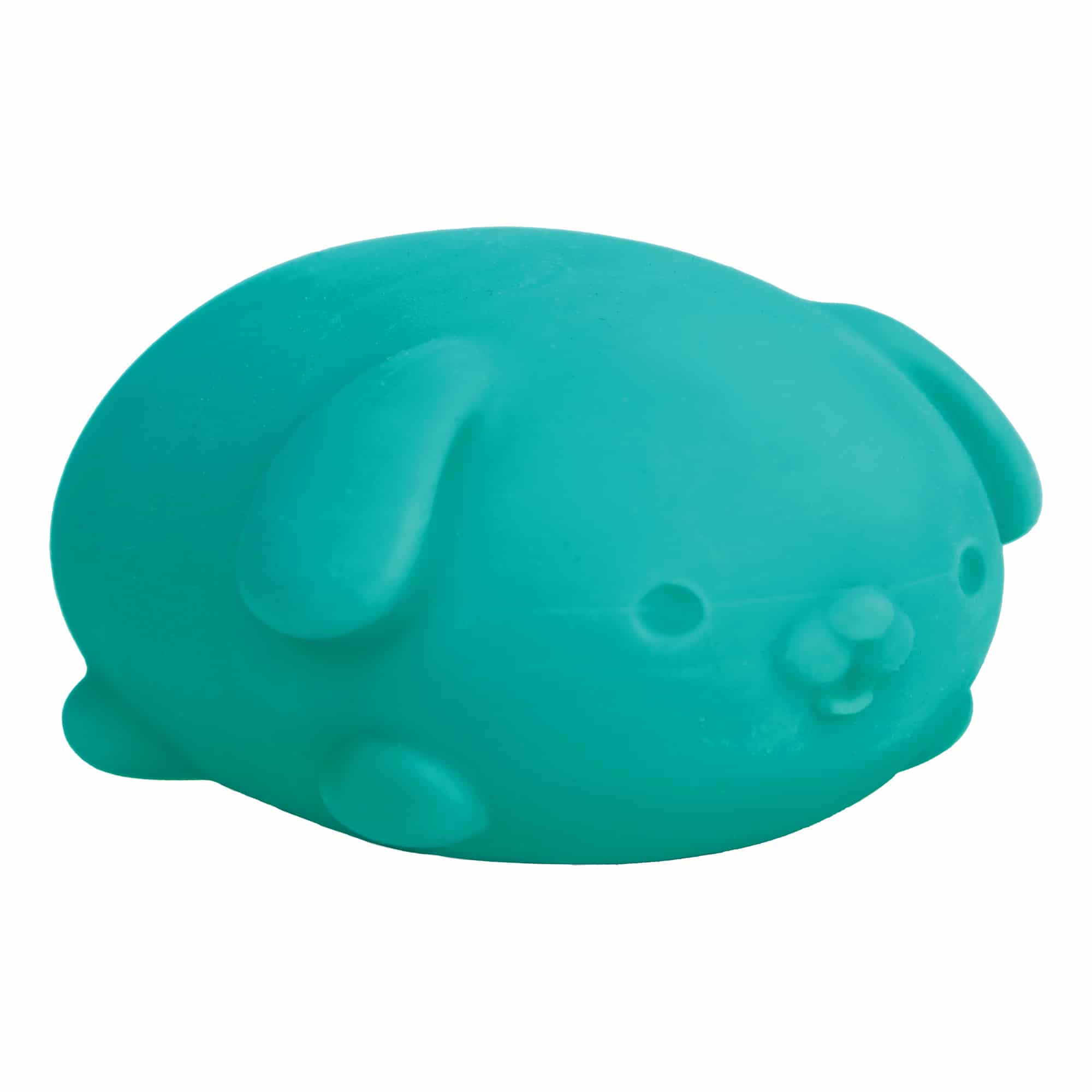 NeeDoh Funky Pup - Teal